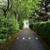 Viaggio nel paesaggio della memoria