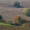 Terre di Monterubbiano