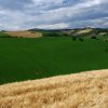 Terre di Monterubbiano