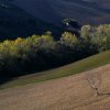 Terre di Monterubbiano