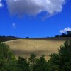 Terre di Monterubbiano