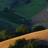 Terre di Monterubbiano