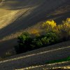 Terre di Monterubbiano