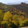 Terre di Monterubbiano