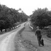 Strade di Cuba